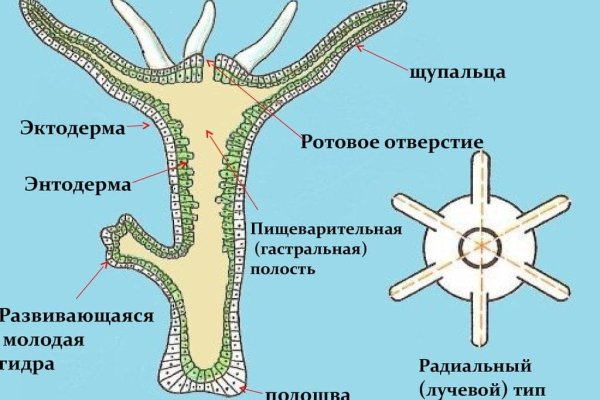 Как восстановить доступ к аккаунту кракен