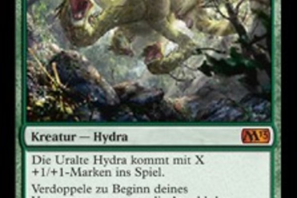Kraken19 at